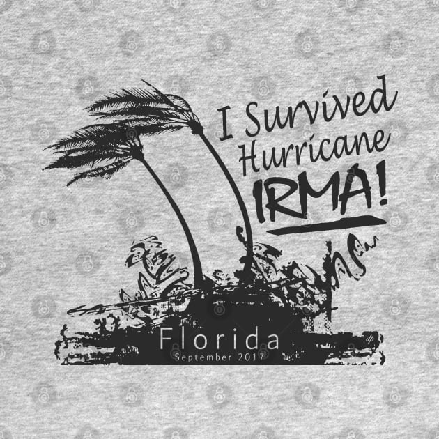 I Survived Hurricane Irma by Etopix